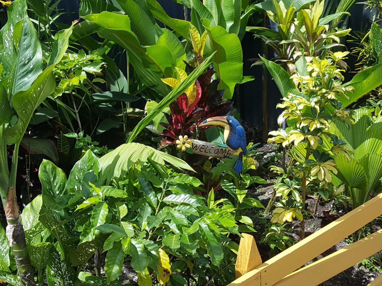 Red Frog Hotel La Fortuna Esterno foto