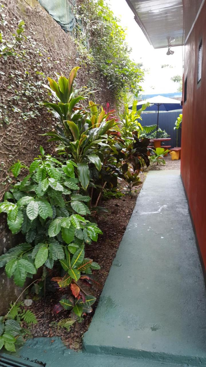 Red Frog Hotel La Fortuna Esterno foto