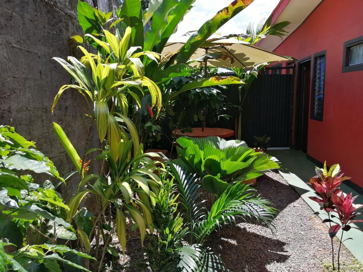 Red Frog Hotel La Fortuna Esterno foto