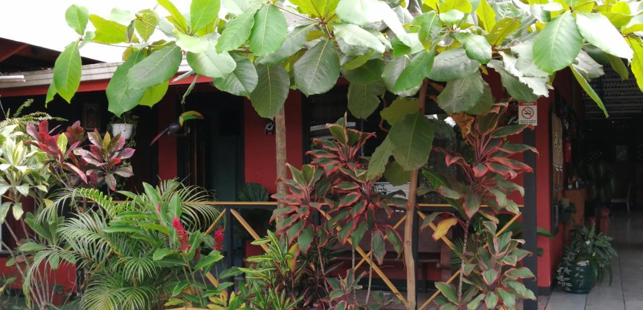 Red Frog Hotel La Fortuna Esterno foto